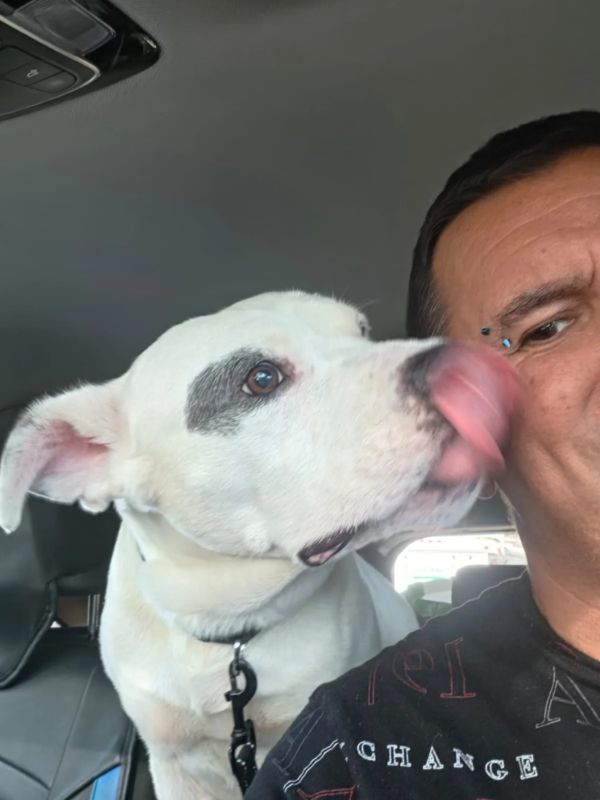 Biggie giving his driver a big lick on the face during the ride from Miami