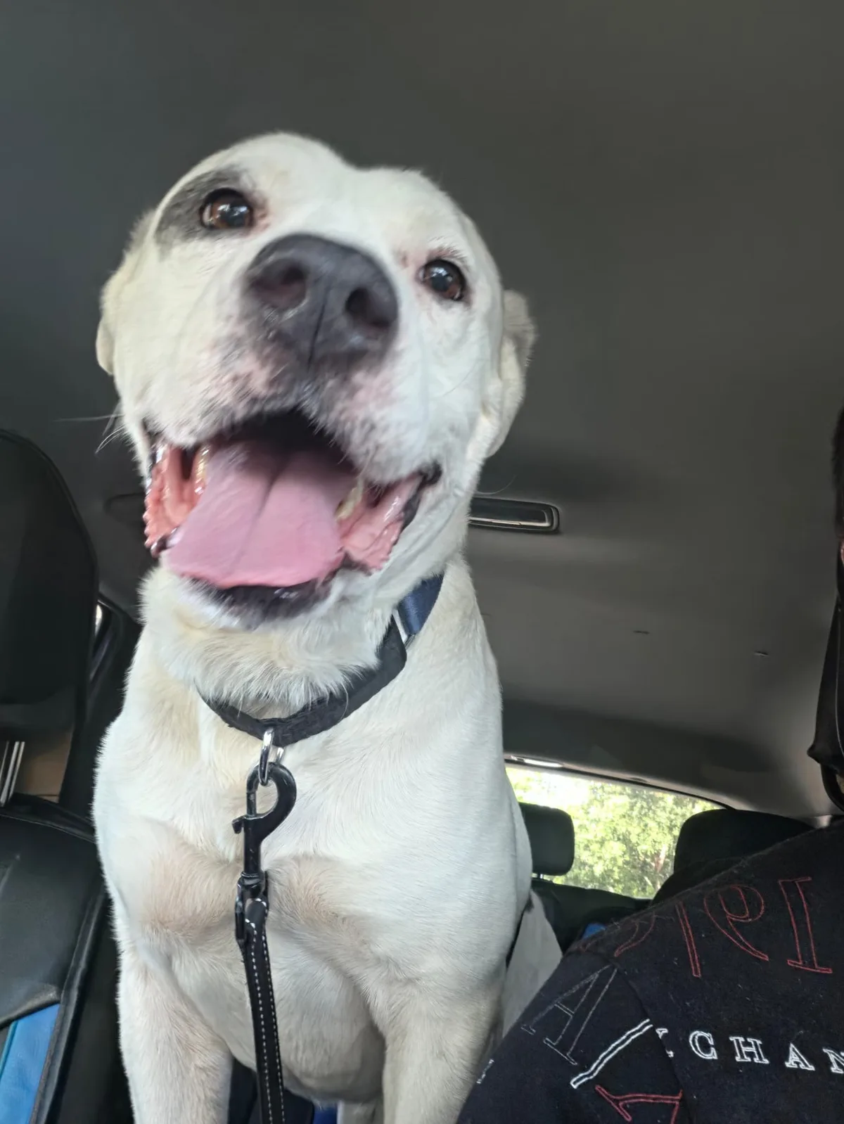 Biggie sitting in the front seat, smiling during the ride