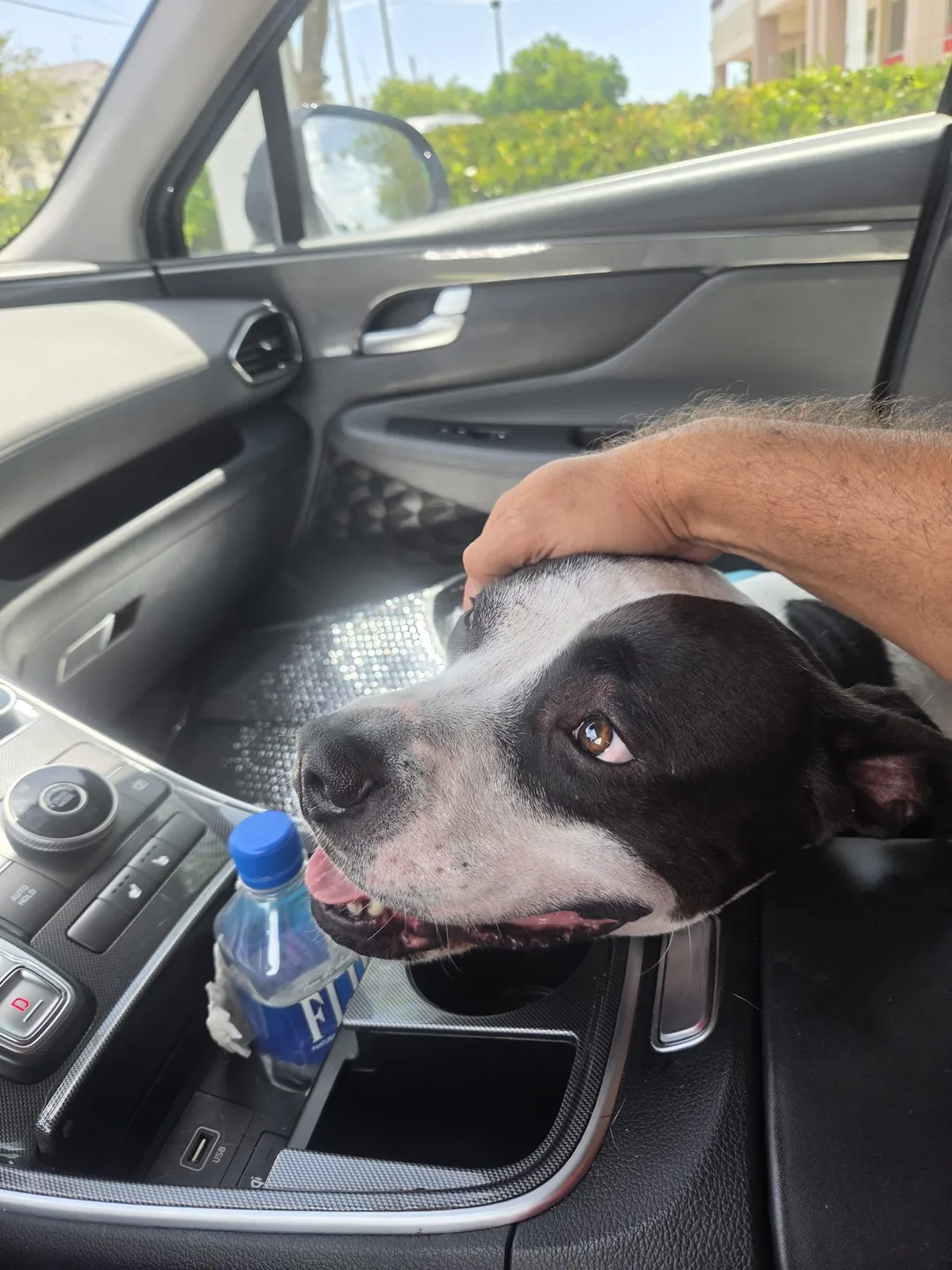 Cedric getting a pet during the car ride